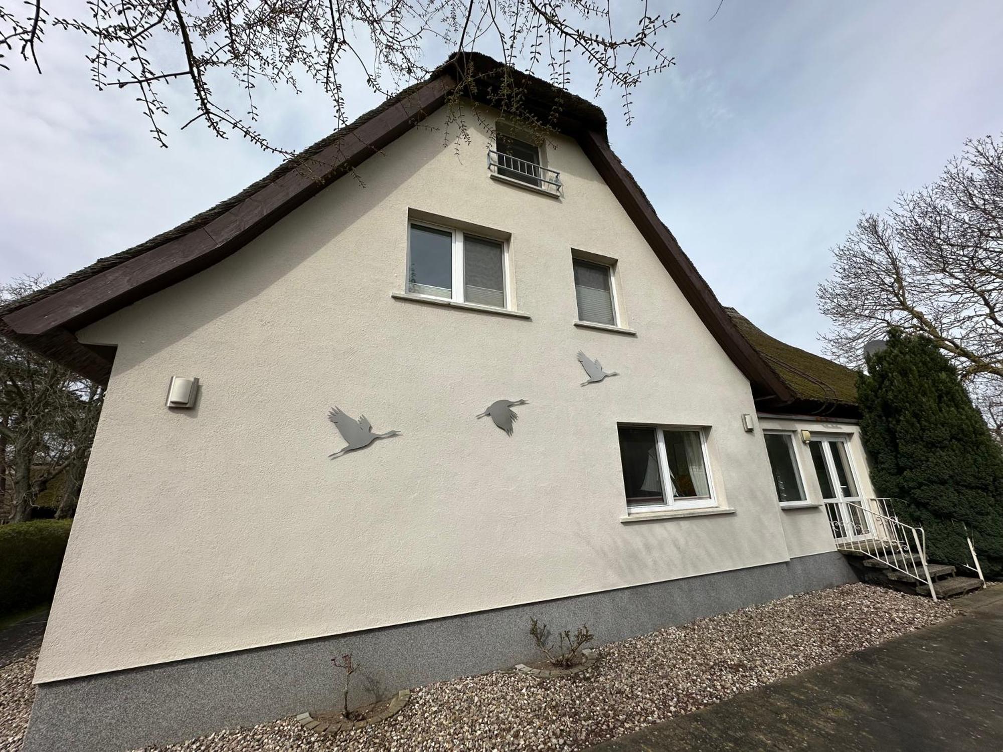 Apartament Boddenhaus Darss Wieck Zewnętrze zdjęcie